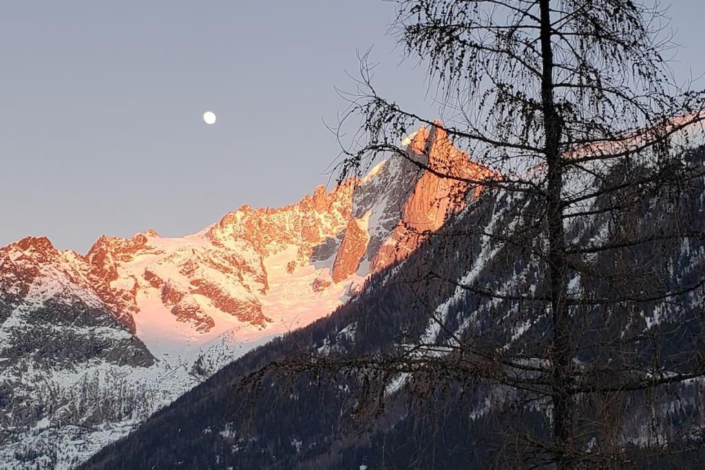 Bel Appartement Entier En Style Chalet A Chamonix Mont Blanc Exterior foto